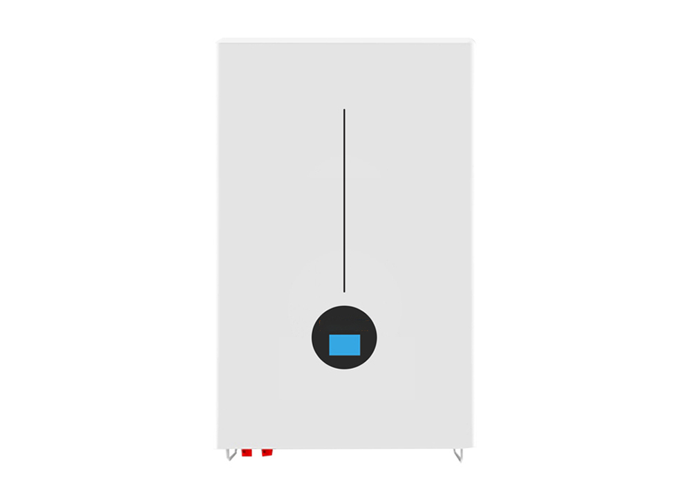 LiFePO4 Battery