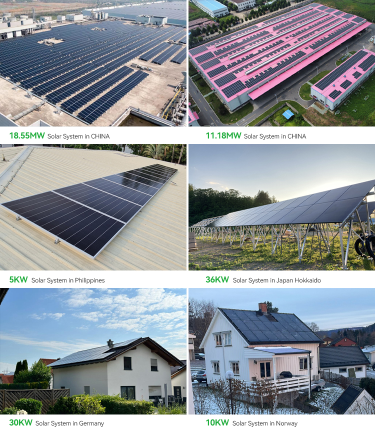 Our Projects
